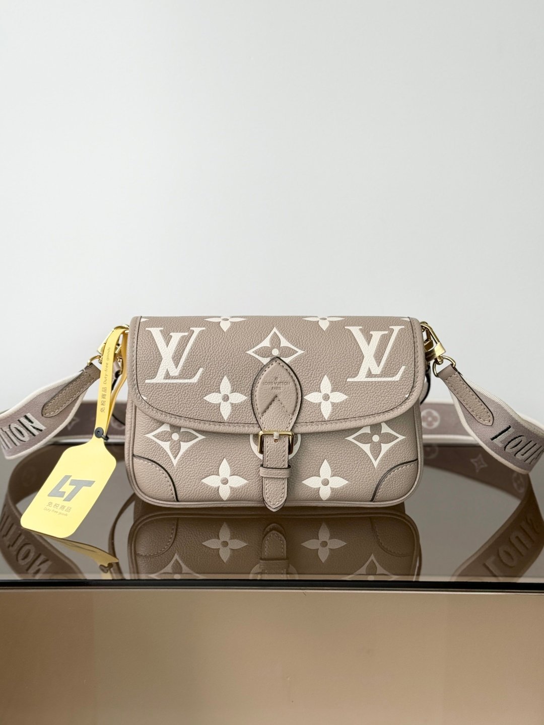 DIANE Bag M46583 Elephant Grey | Premium Quality | Dynamic Chip